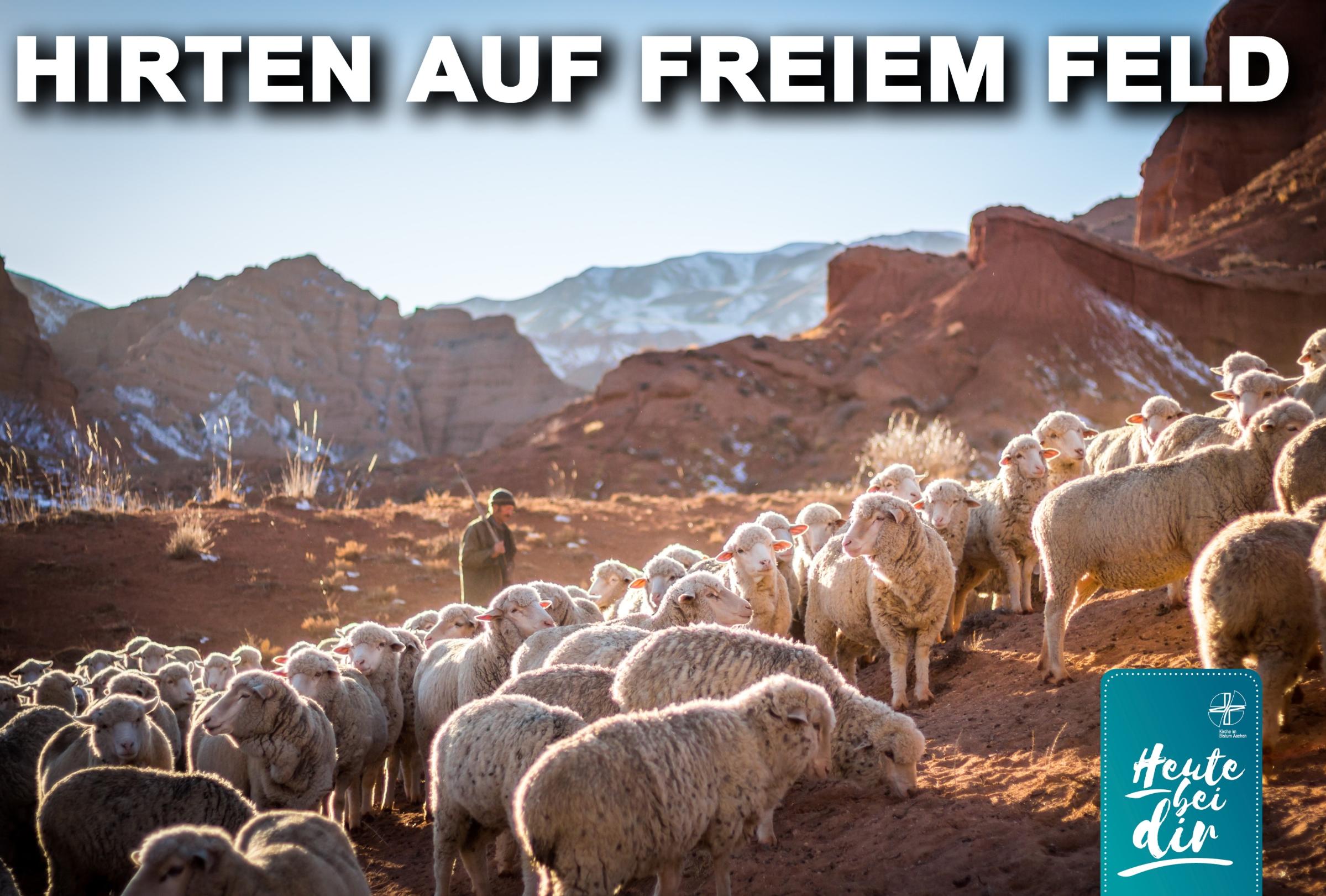 Heute bei dir – im Saarland: Wendelin von Tholey