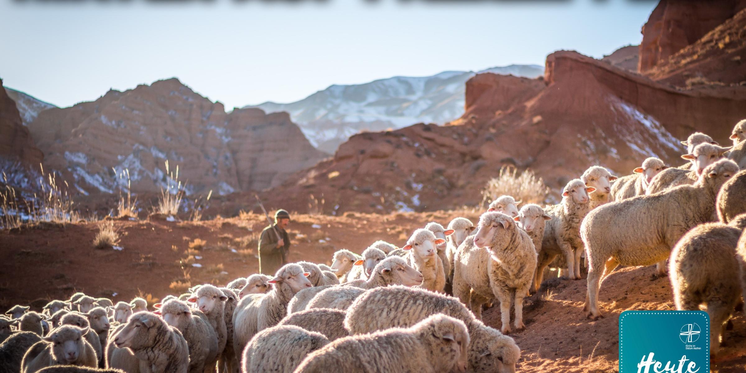 Heute bei dir – im Saarland: Wendelin von Tholey