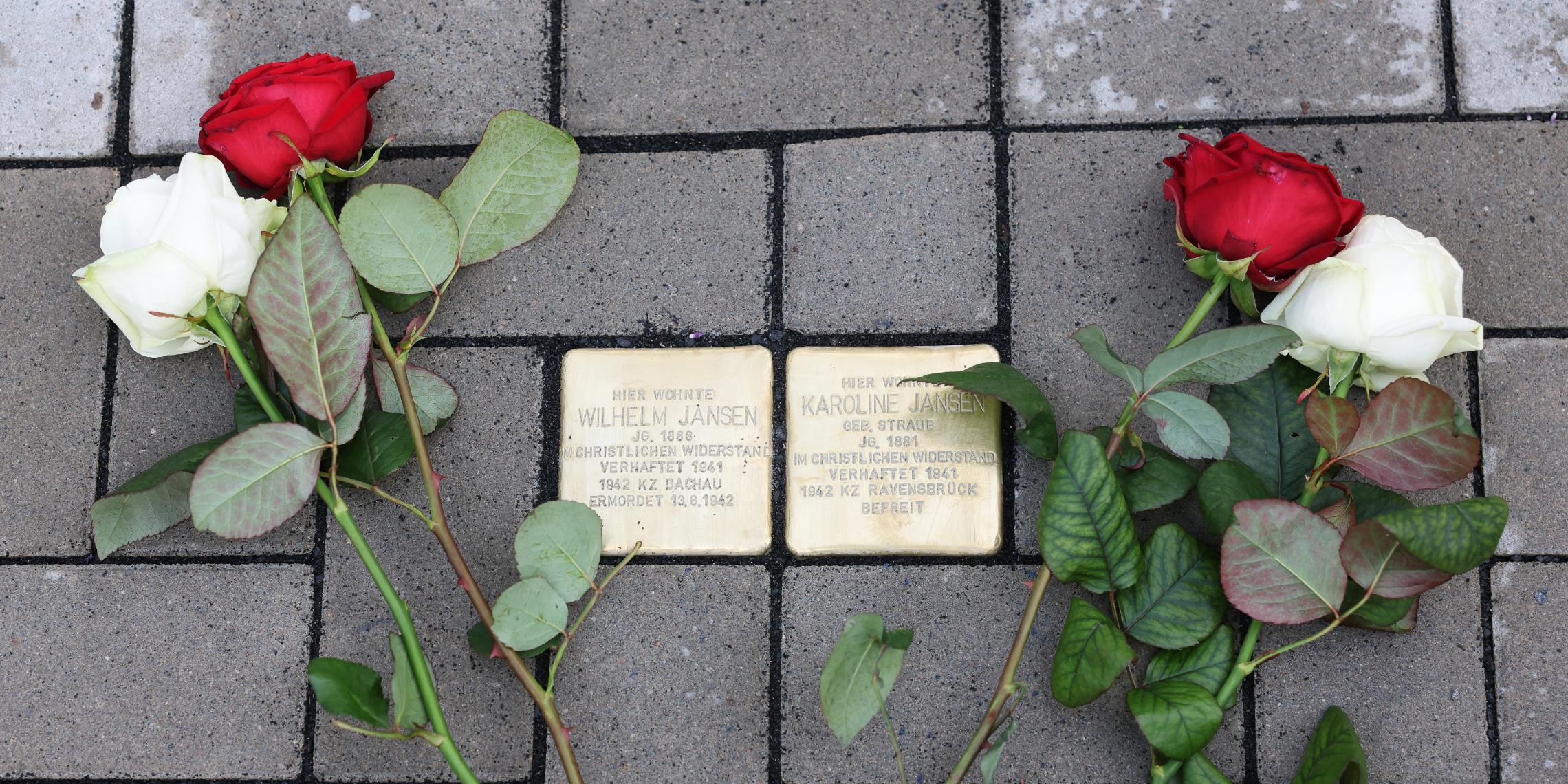 Stolbersteine mit zwei Rosen daneben