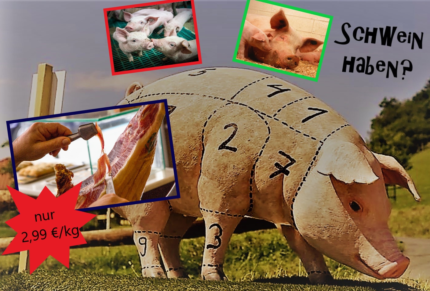 Projekt Schwein haben (c) Tanja Jünger (-Jai79-auf-Pixabay)