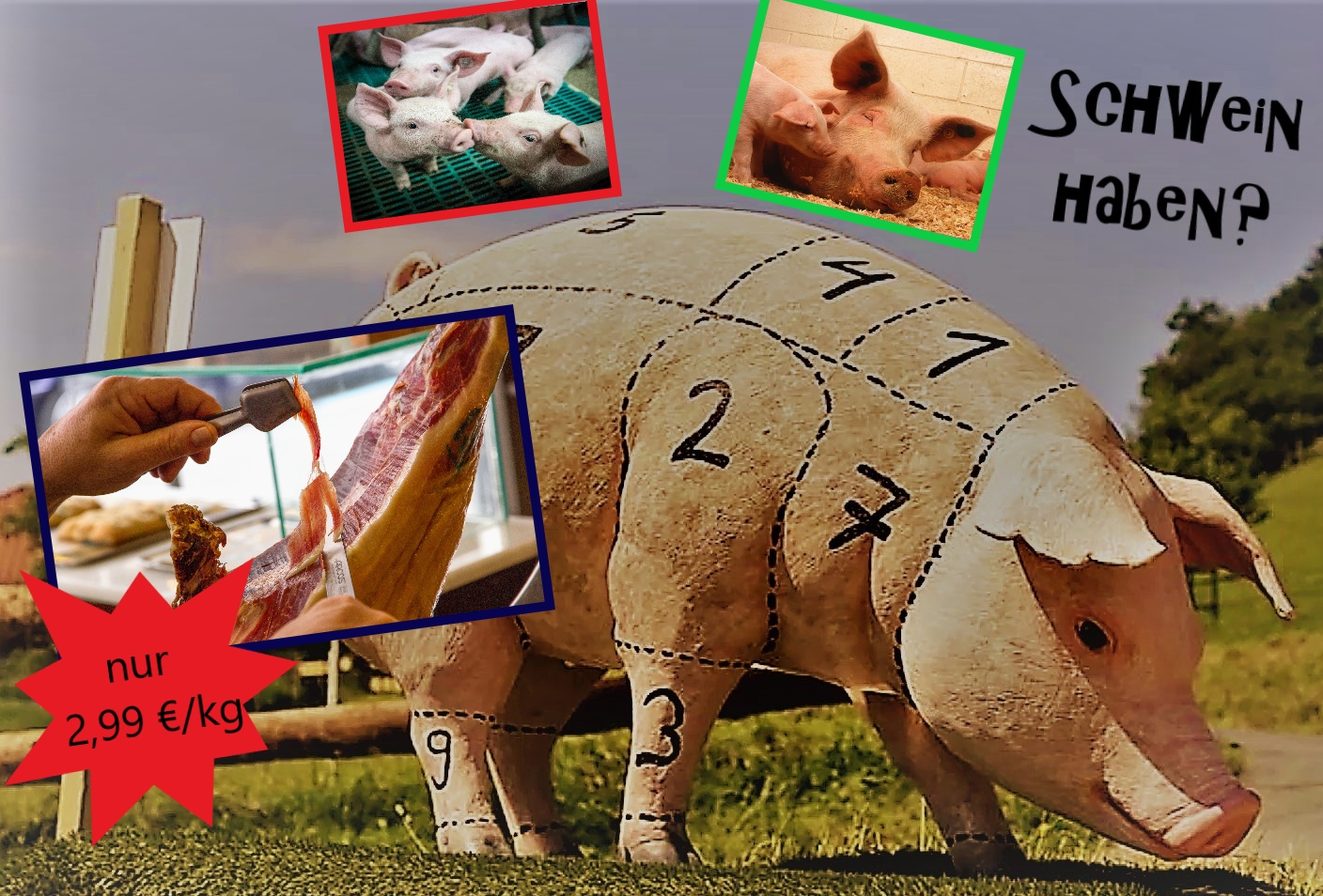 Projekt Schwein haben