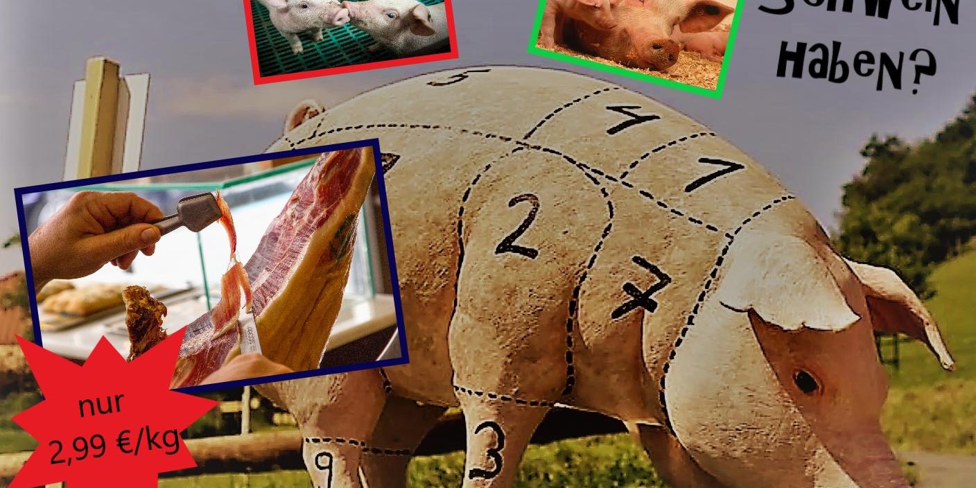 Projekt Schwein haben