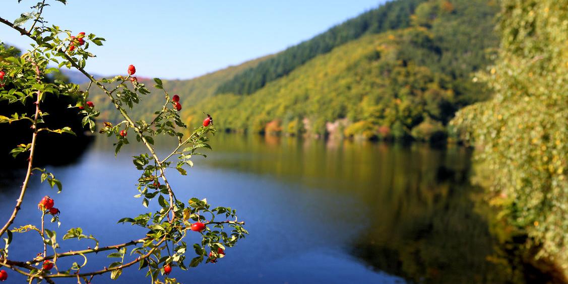 Sternwallfahrt Eifel
