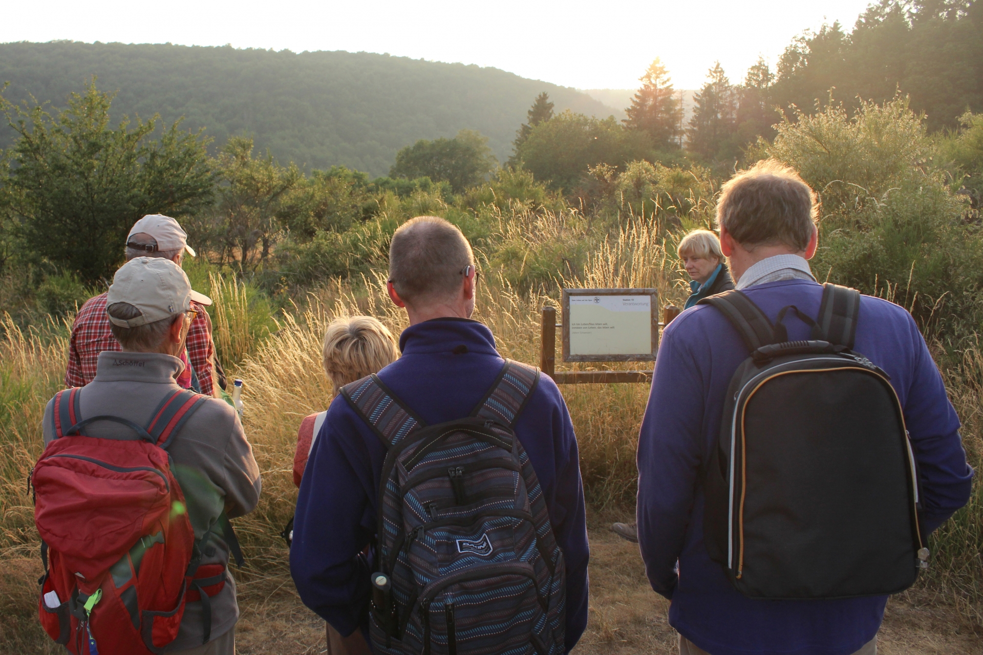 Entlang des Schöpfungspfades im Nationalpark Eifel laden christliche und weltliche Sprüche an insgesamt zehn Stationen zur Besinnung ein. Das besondere Wanderangebot bei Simmerath-Hirschrott besteht nun seit zehn Jahren. (c) Nationalparkverwaltung Eifel/Martin Weisgerber