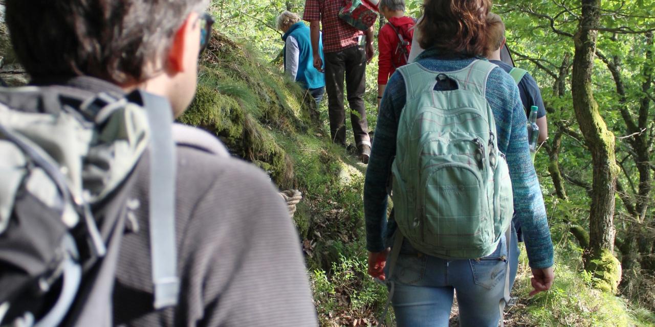 Wer auf dem Schöpfungspfad im Nationalpark Eifel wandert, erlebt ein besonders wildes Stück Natur.
