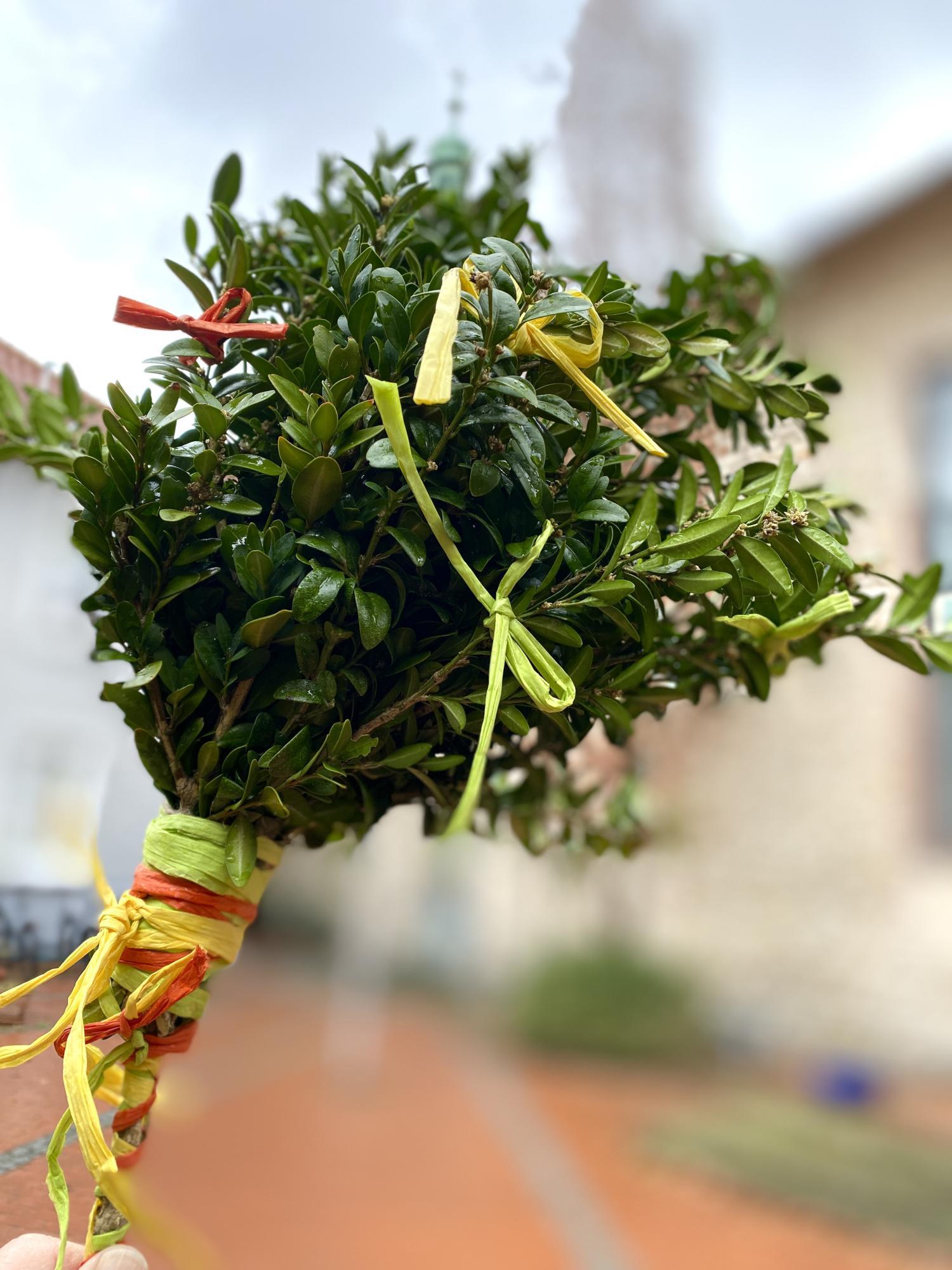 Palmzweig_ am Palmsonntag