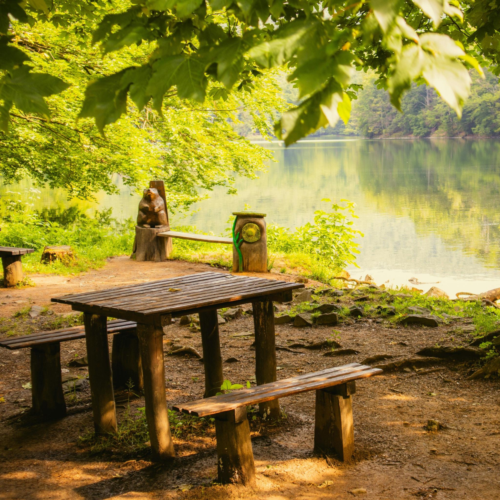 marko-lengyel-Z6hgl2s9fYM-unsplash