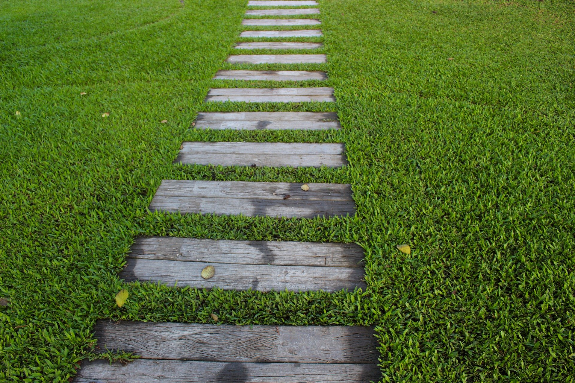 Weg im Gras (c) Bild von Dean Moriarty auf Pixabay