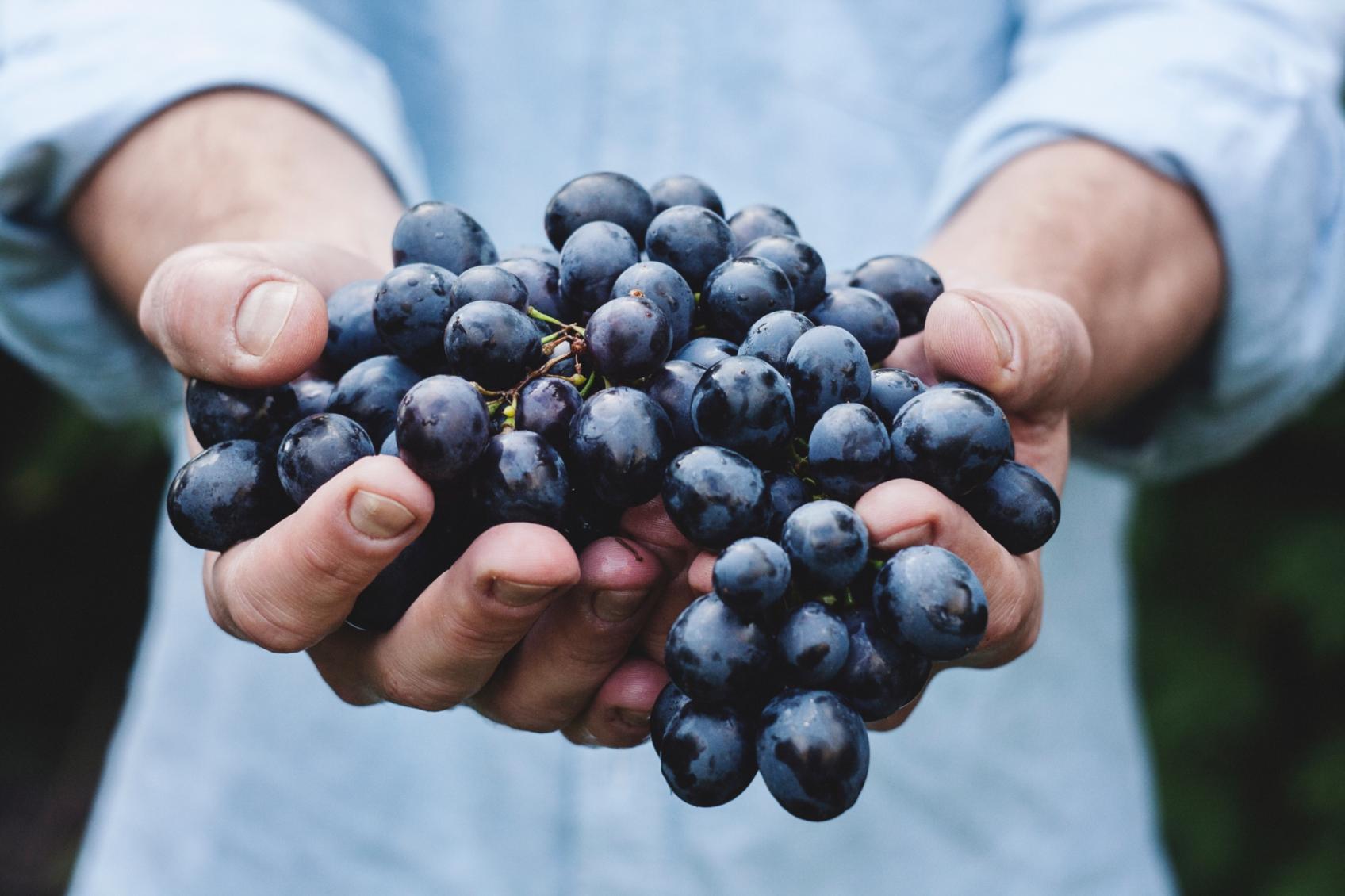 Broschüre Begleitangebote (c) Maja Petric on Unsplash