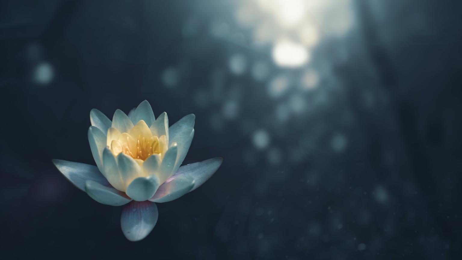 Meditation (c) Unsplash