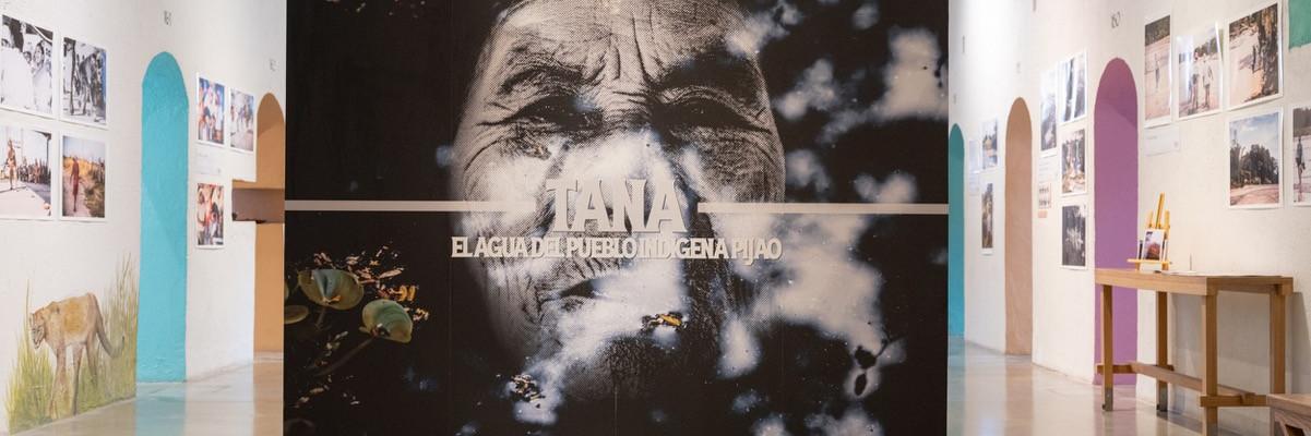 f7530160-8f8f-4fff-af81-ea127adf655a