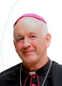 Monseñor Luis Augusto Castro Quiroga IMC