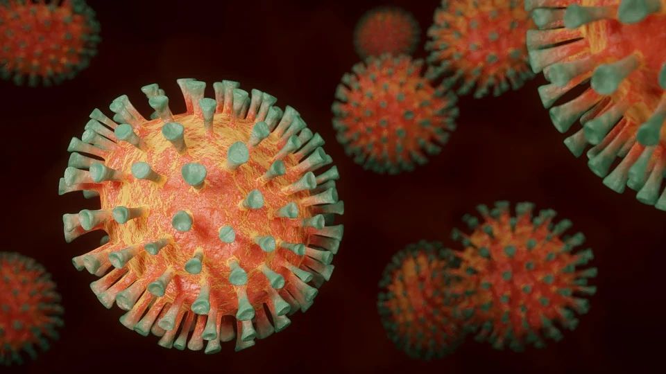 Coronavirus (c) pixabay.com