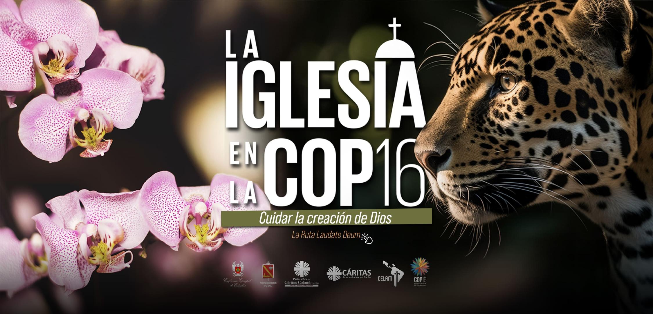 Plakat zur COP 16 in Cali, Kolumbien.