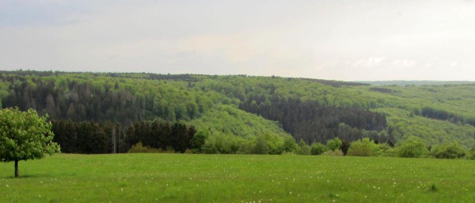 FRIEDEN, GERECHTIGKEIT, BEWAHRUNG DER SCHÖPFUNG