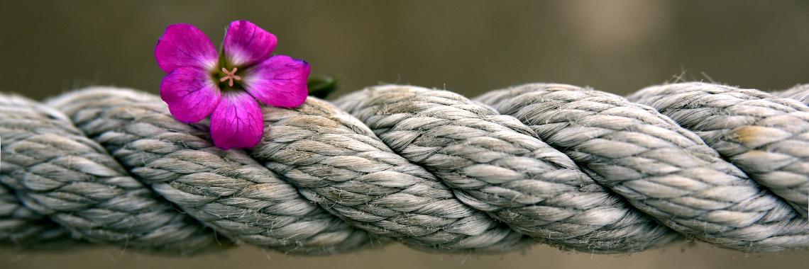 Geistliche Gemeinschaften im Bistum Aachen