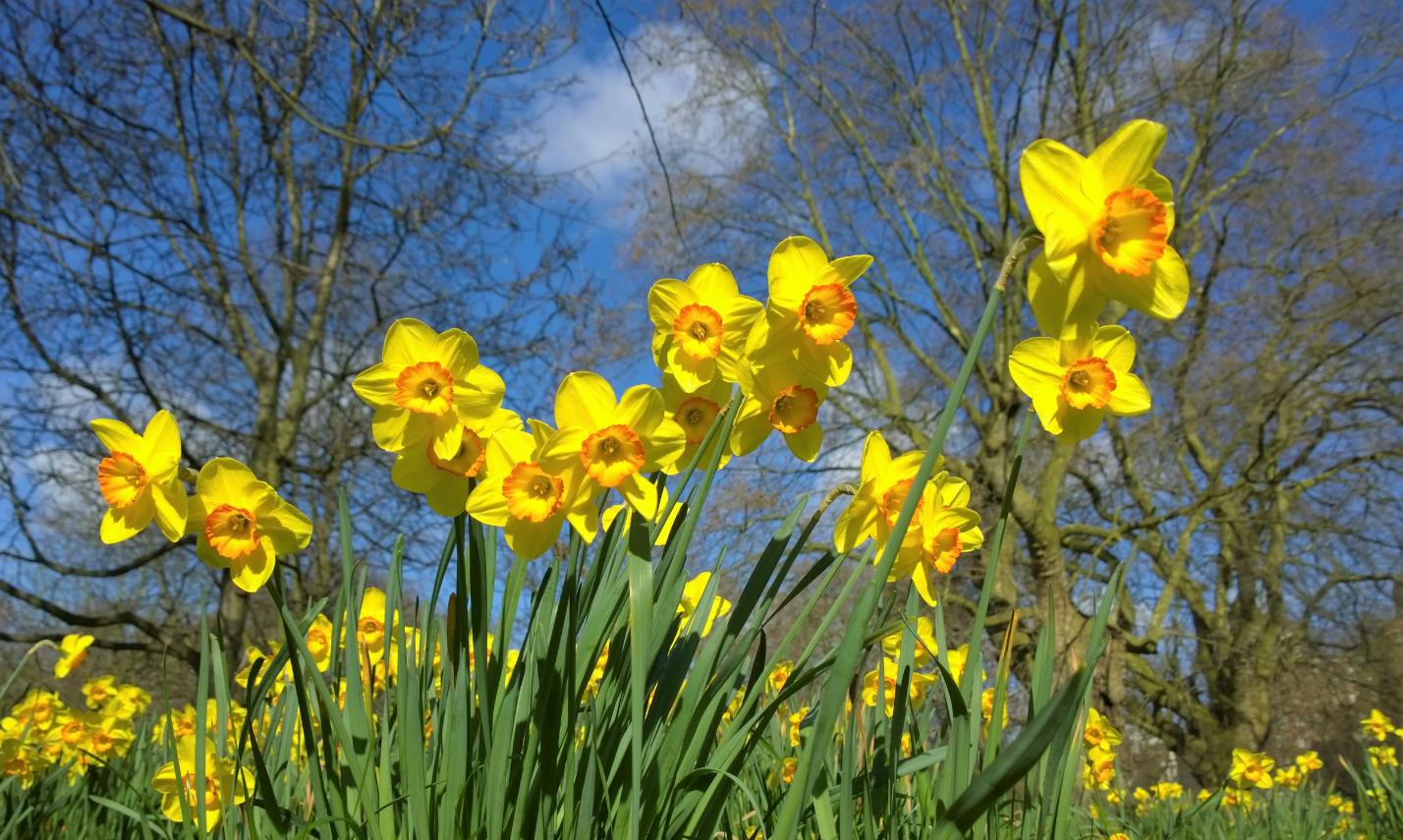 Fasten-und Osterzeit
