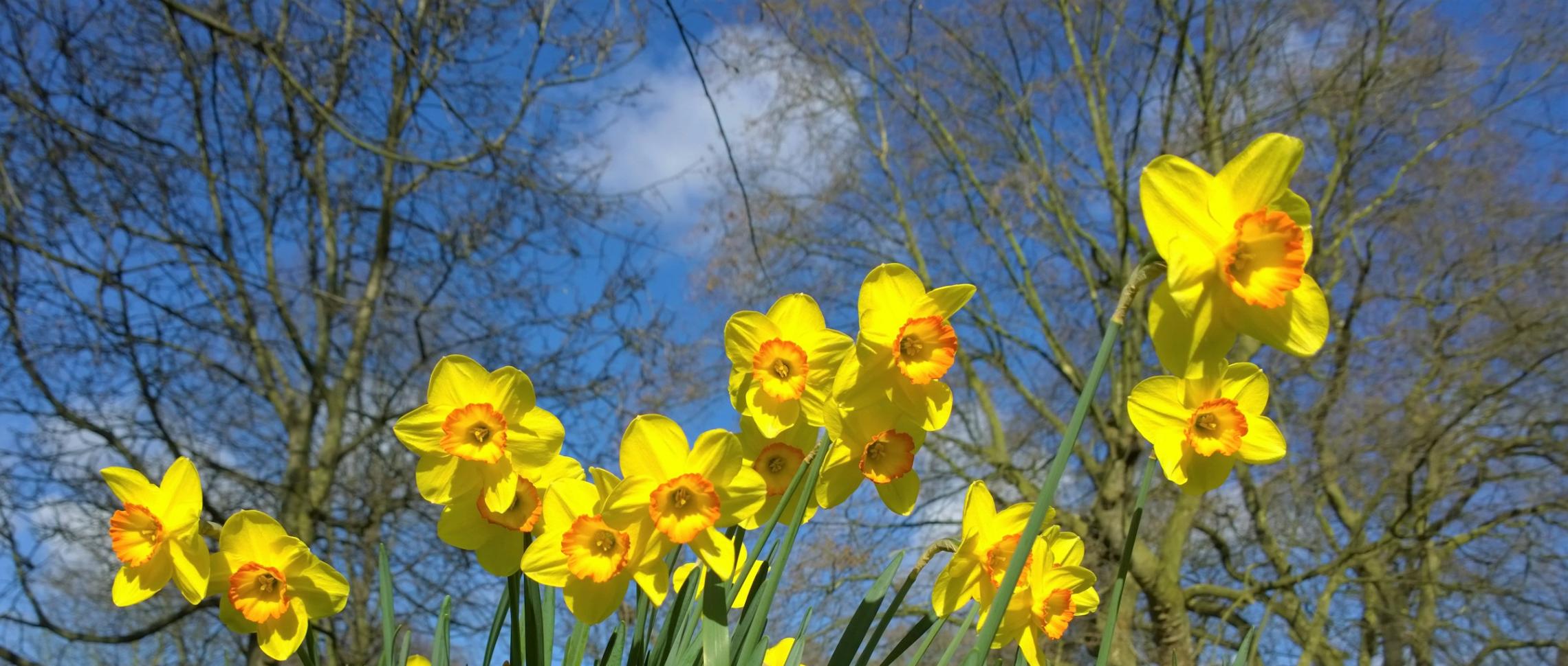 Fasten-und Osterzeit