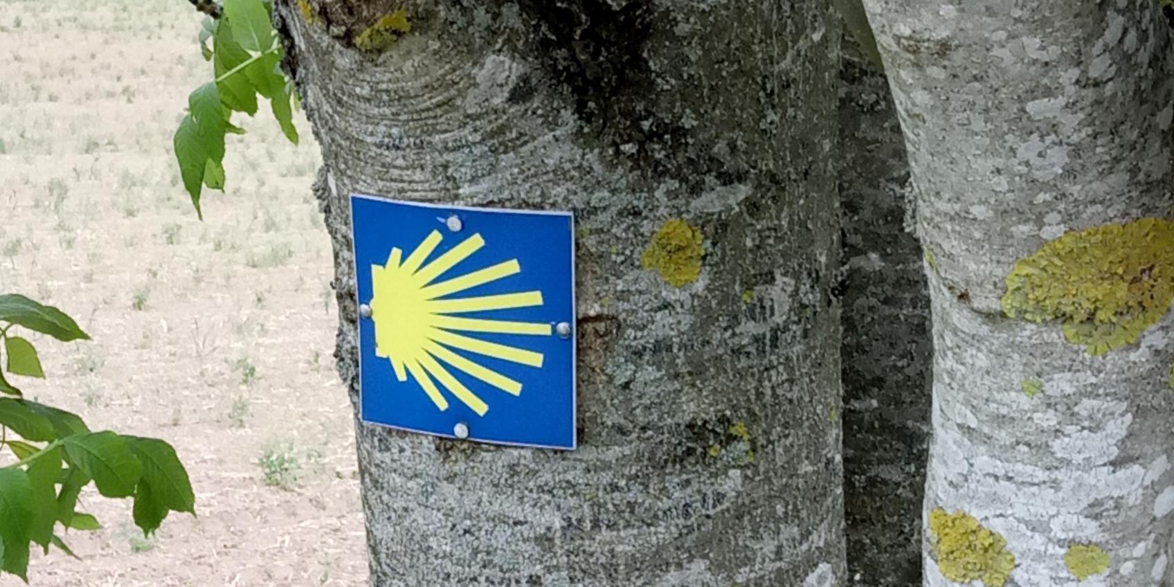 Wegzeichen (c) Bistum Aachen / Steffi Sieger-Bücken