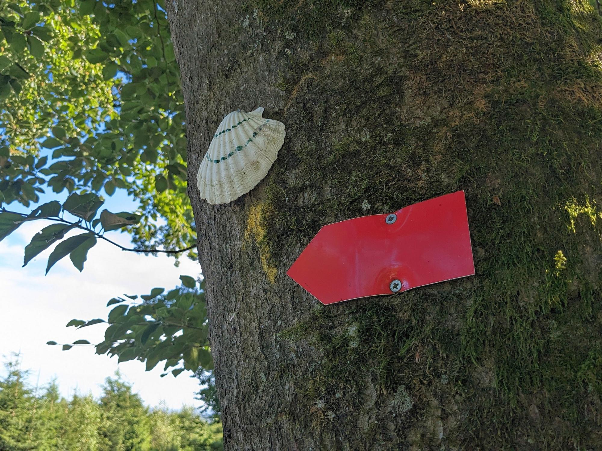 Die Muschel ist das Zeichen der Jakobspilger und markiert in diesem Fall die Via Mosana von Aachen nach Namur.