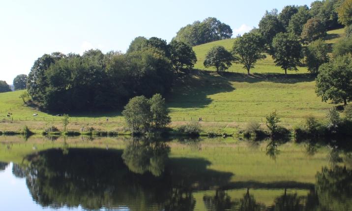 Pilgern im Nationalpark Eifel