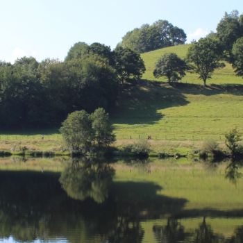 Pilgern im Nationalpark Eifel