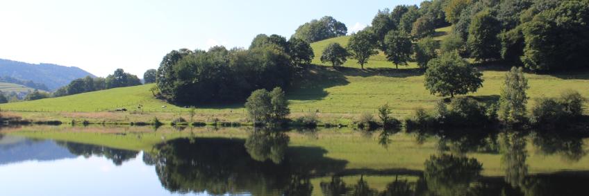 Pilgern im Nationalpark Eifel