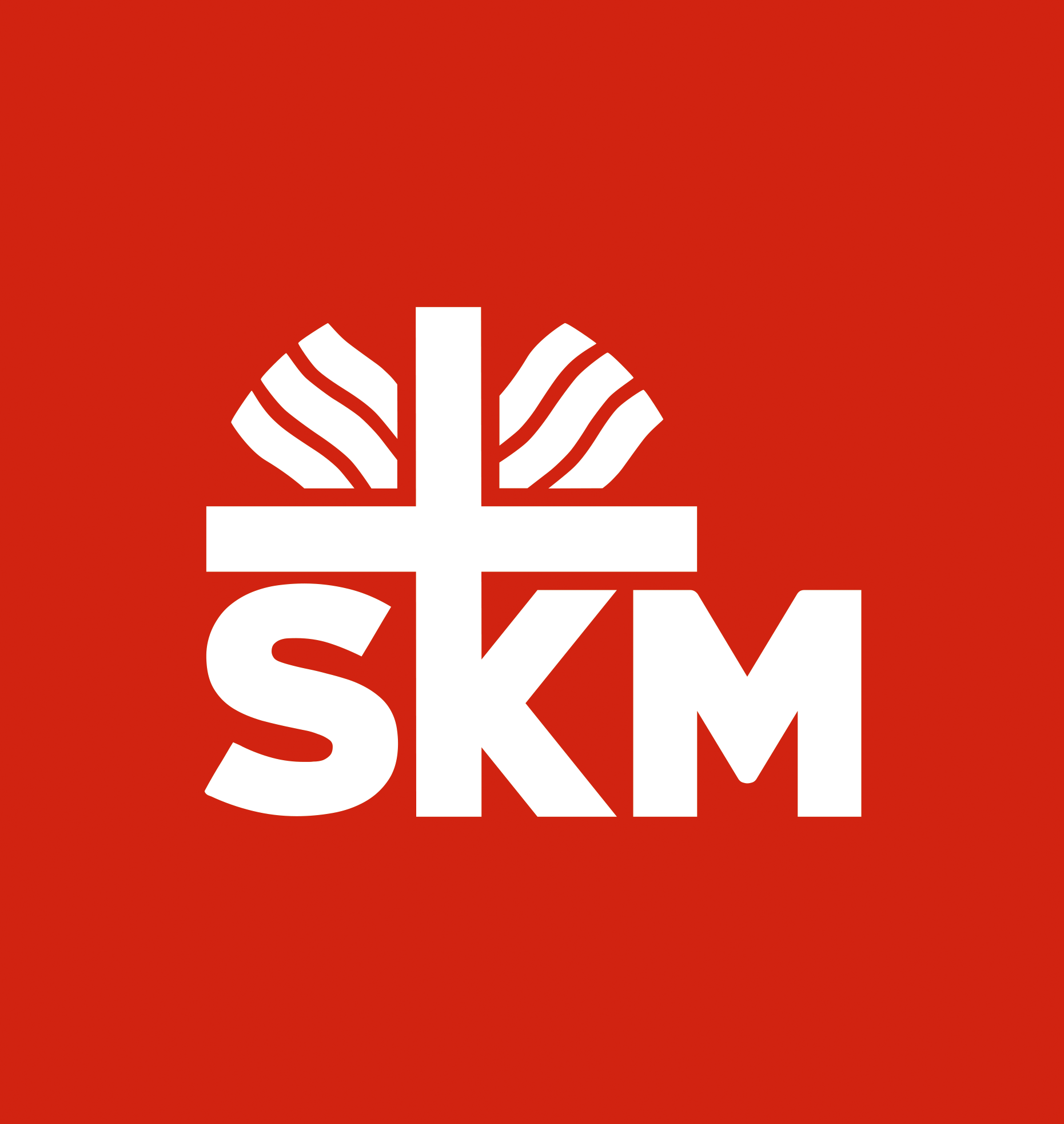 SKM (c) SkF