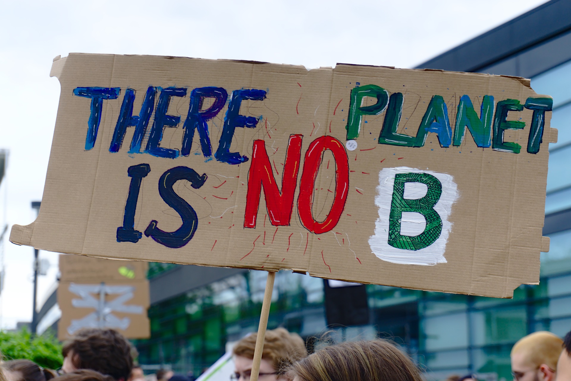 Fridays for future (c) Bild von NiklasPntk auf Pixabay