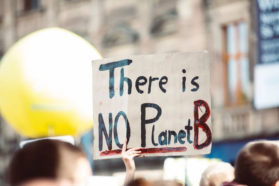 Klimastreik (Symbolbild) (c) pexels.com