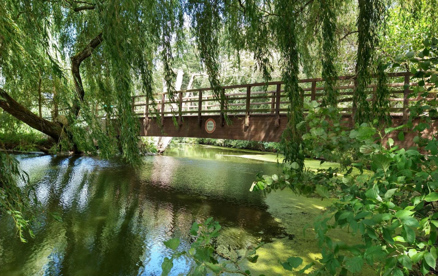 Brücke 2