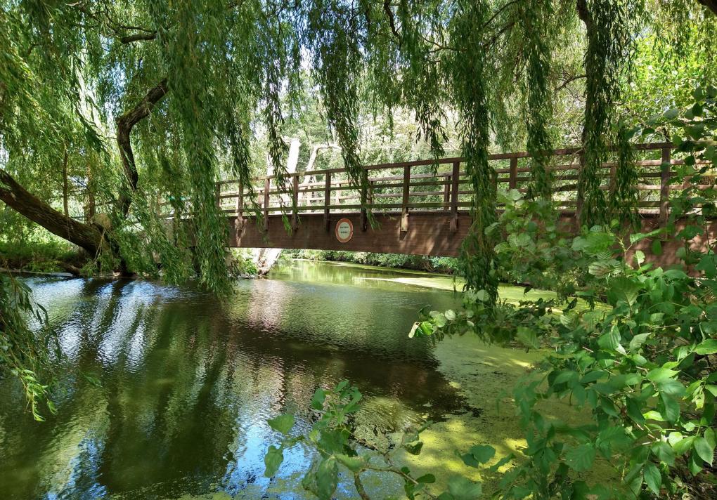 Brücke 2