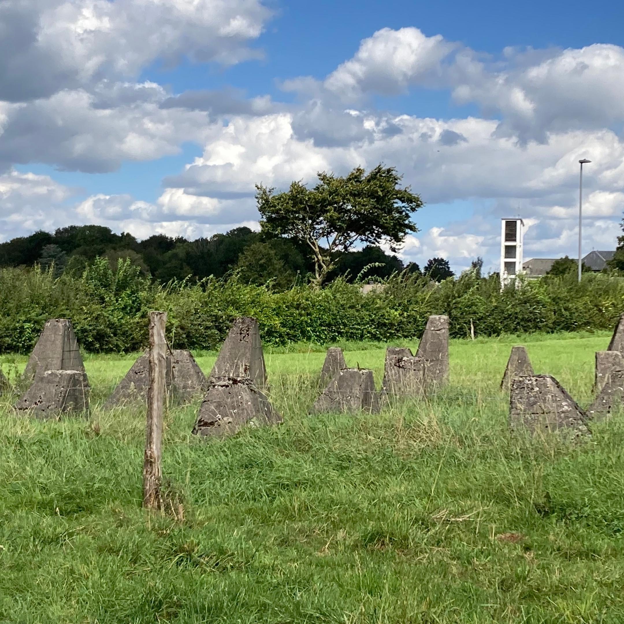 Geschichtswettbewerb 2024