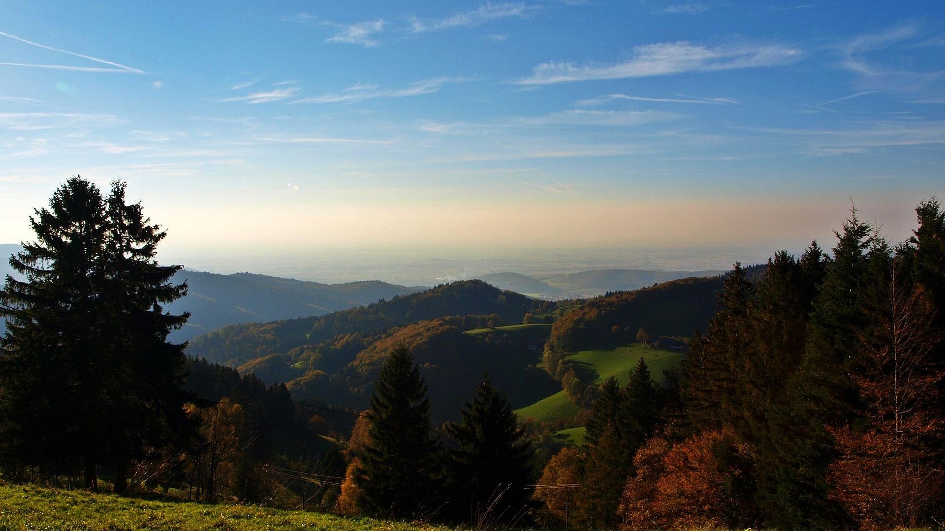 Ausblick