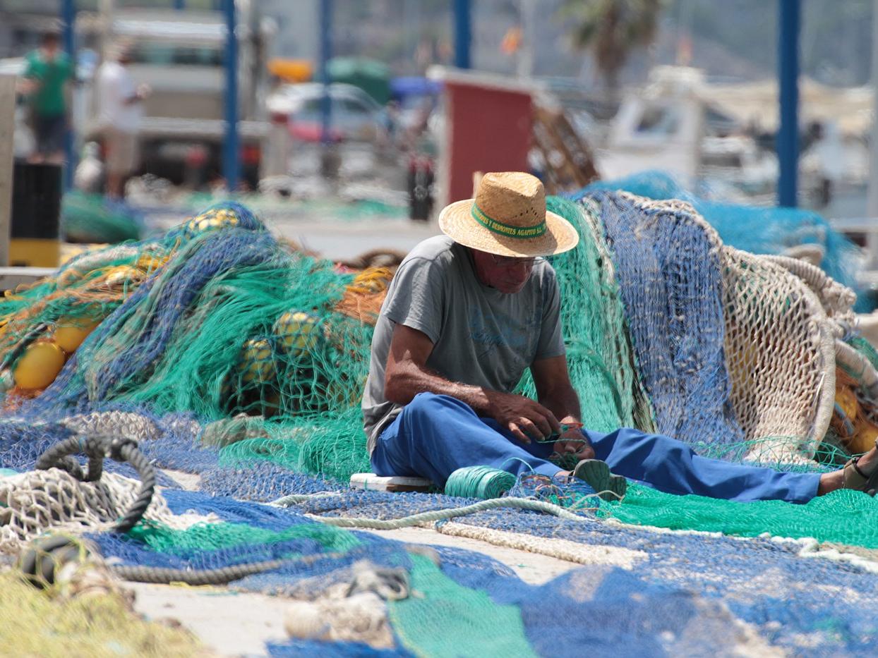 Fischer auf Mallorca