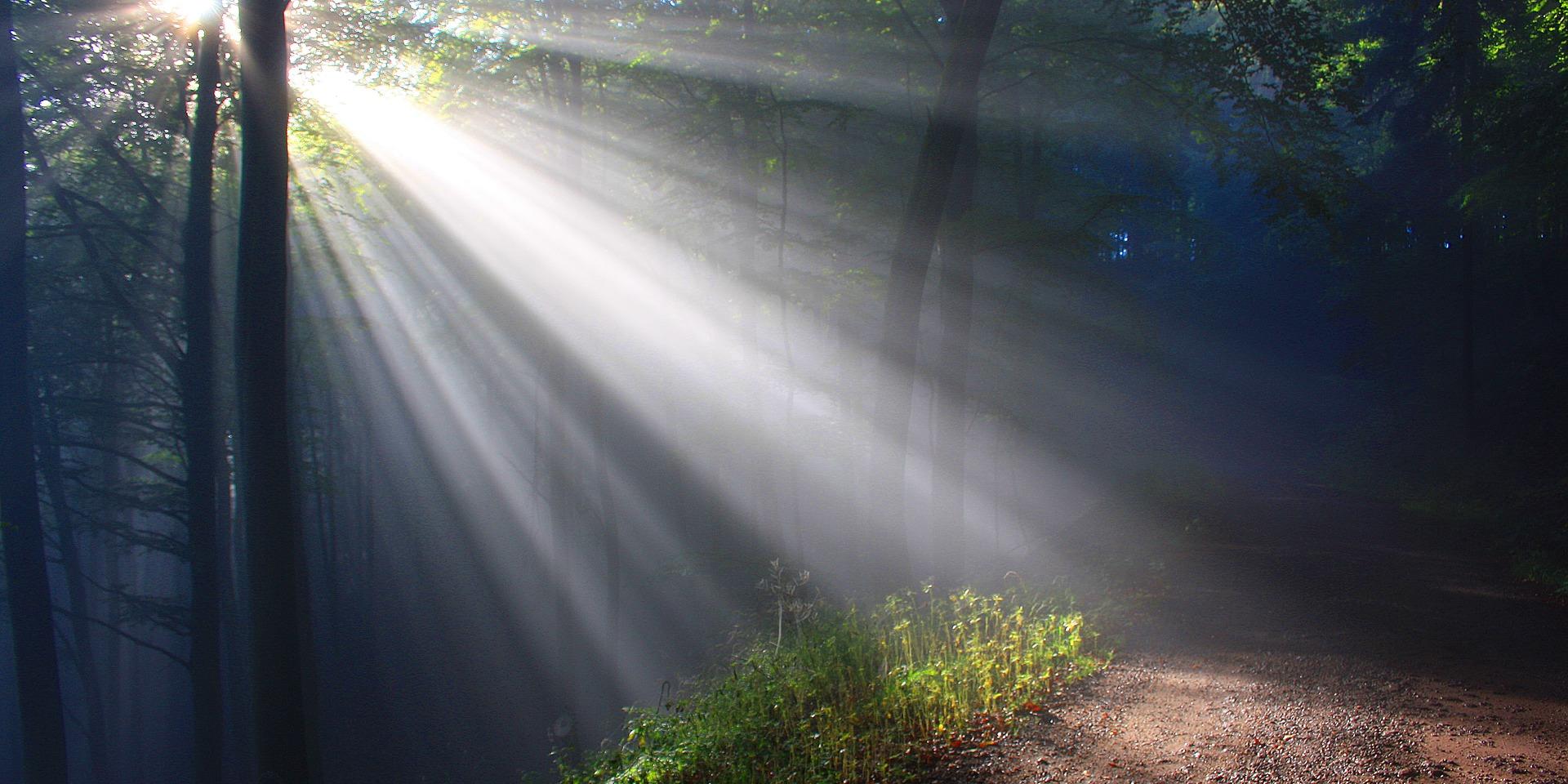 Sonnenschein