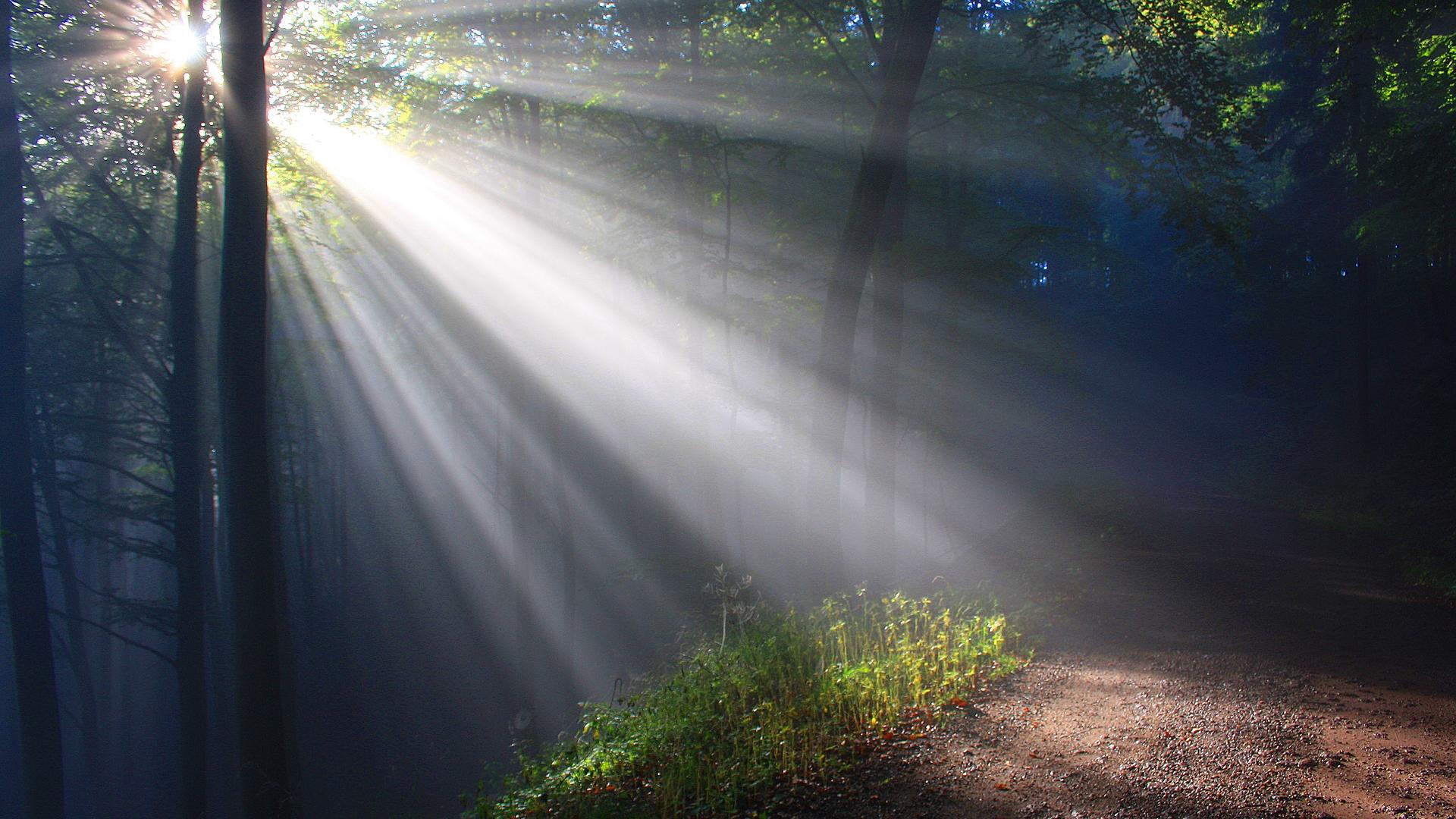 Sonnenschein
