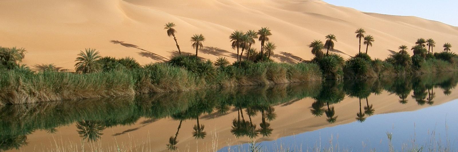 Oase in der Wüste, Lybien (c) www.pixabay.com