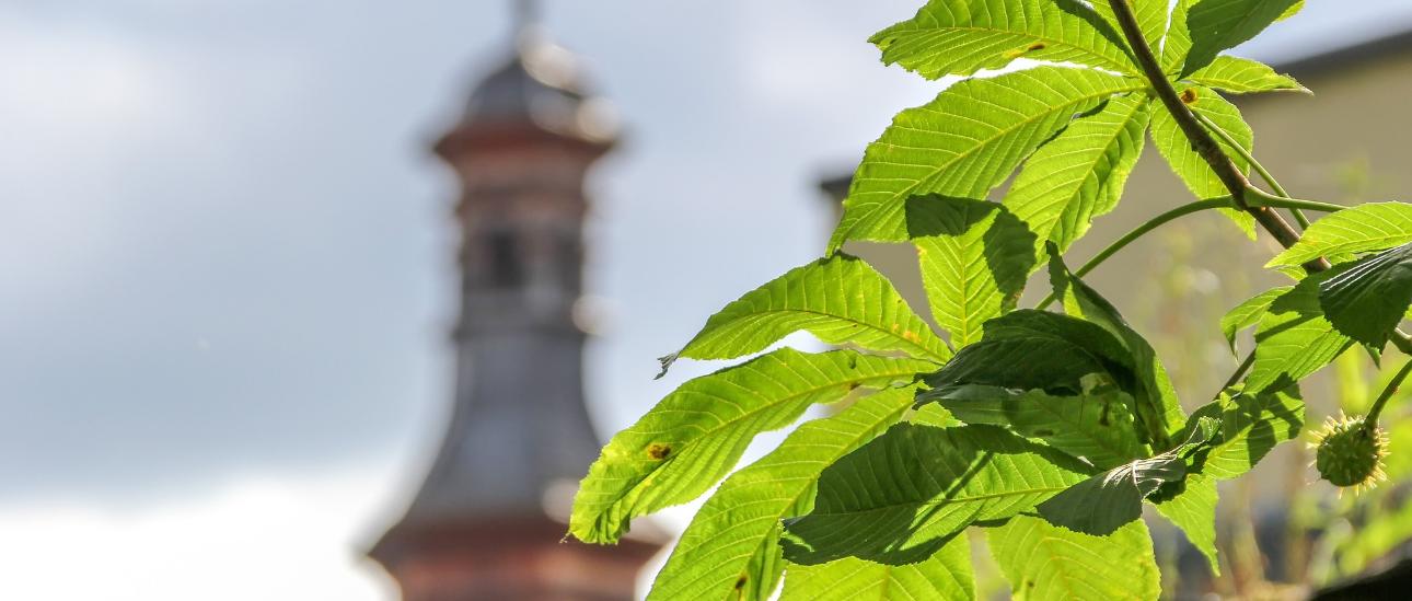Klimaschutz rund um den Kirchturm