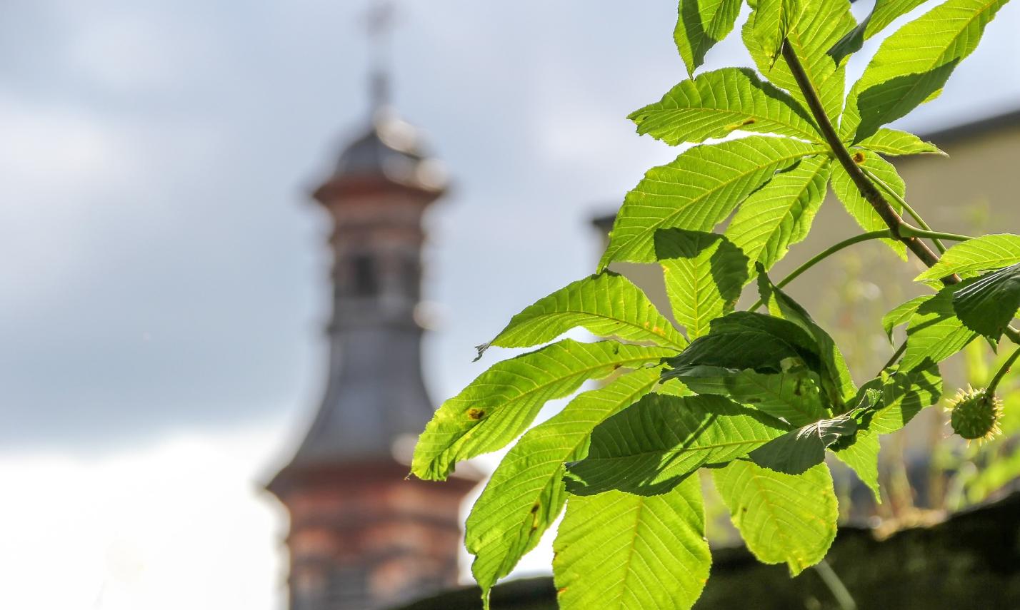 Klimaschutz rund um den Kirchturm