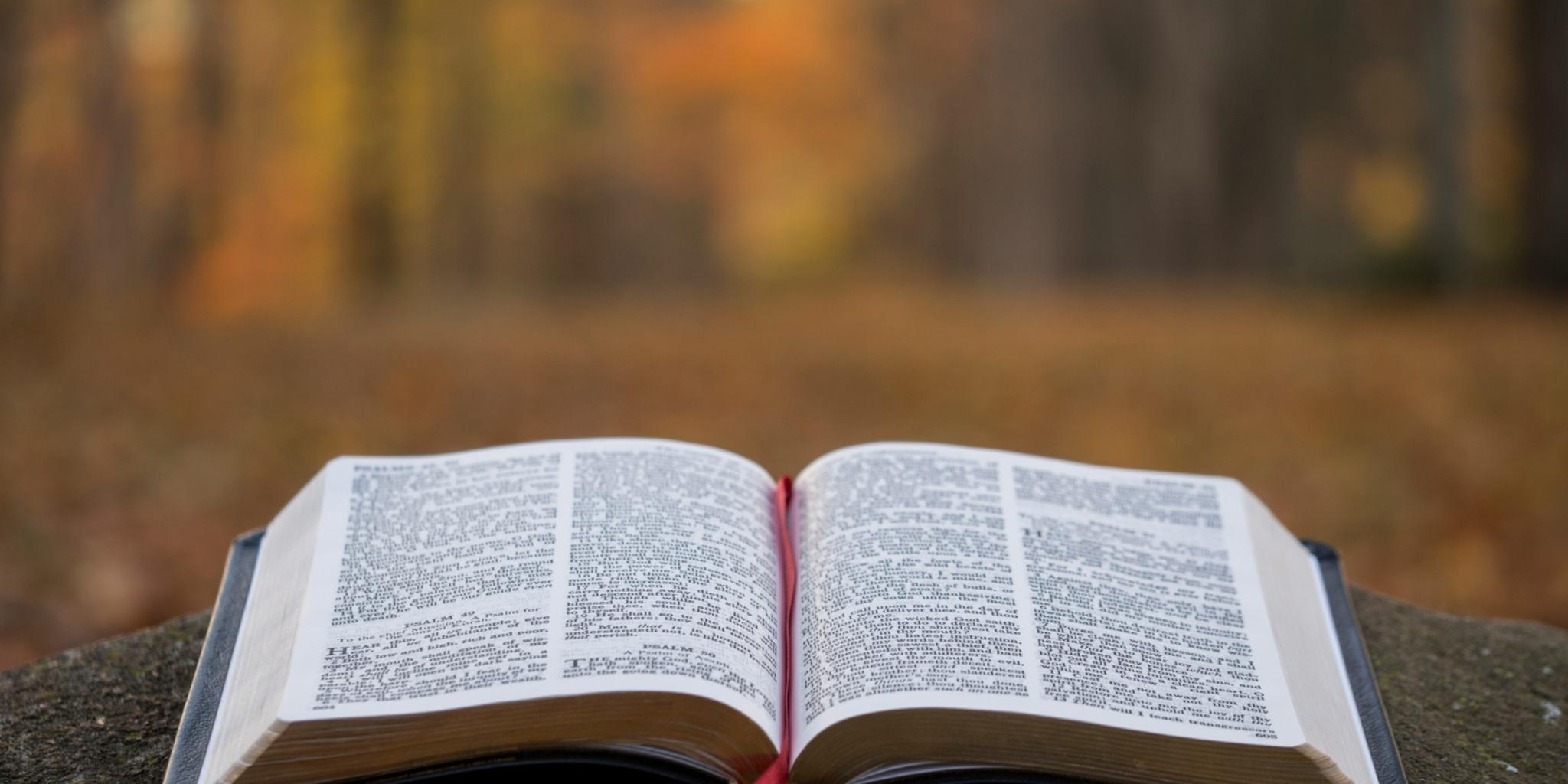 Bibel