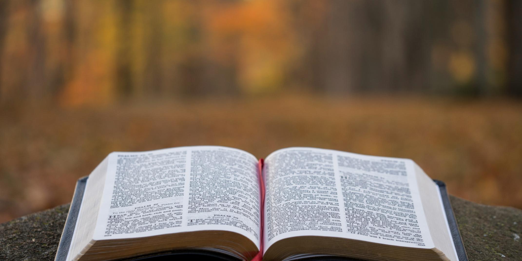 Bibel