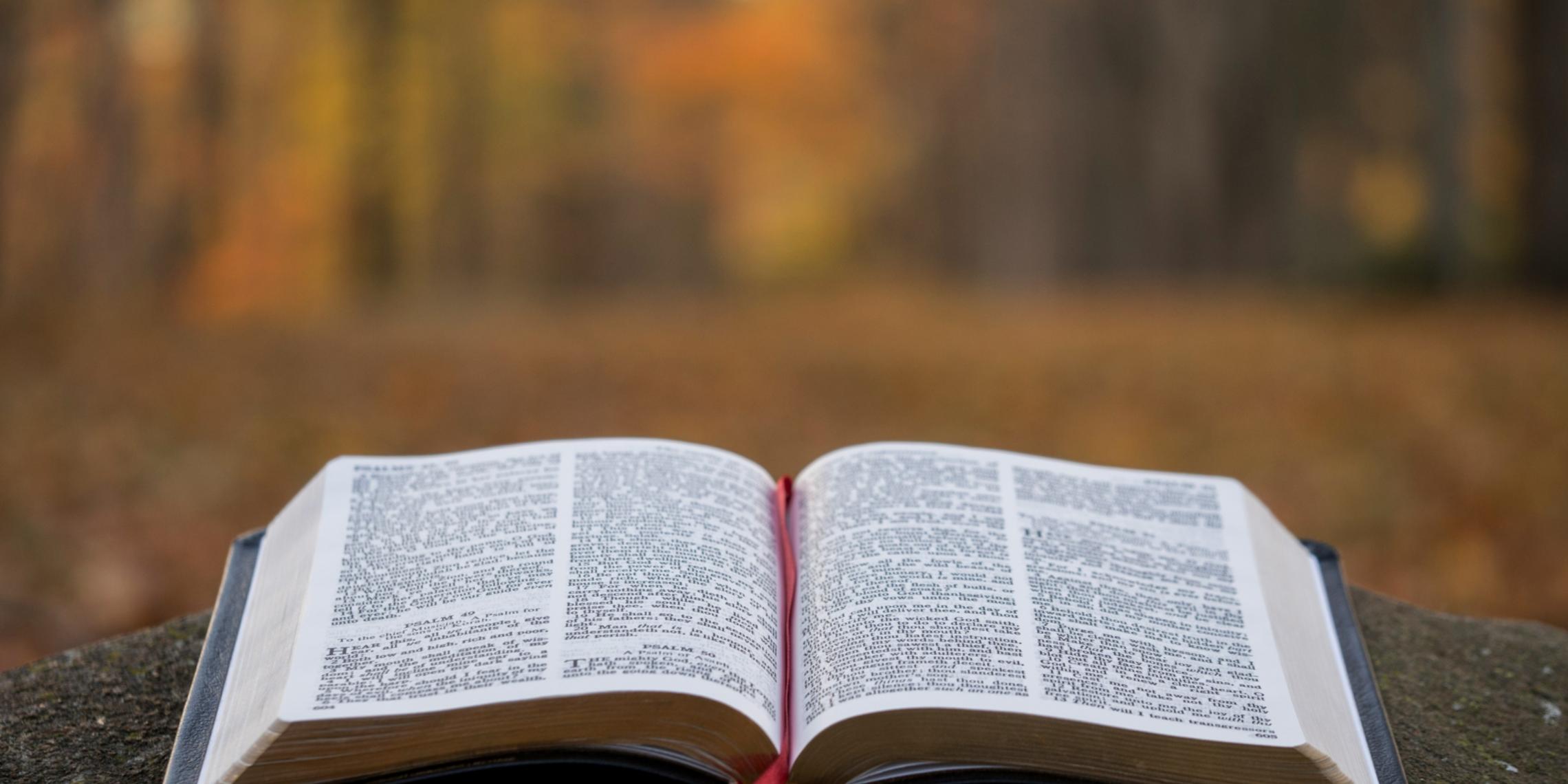 Bibel