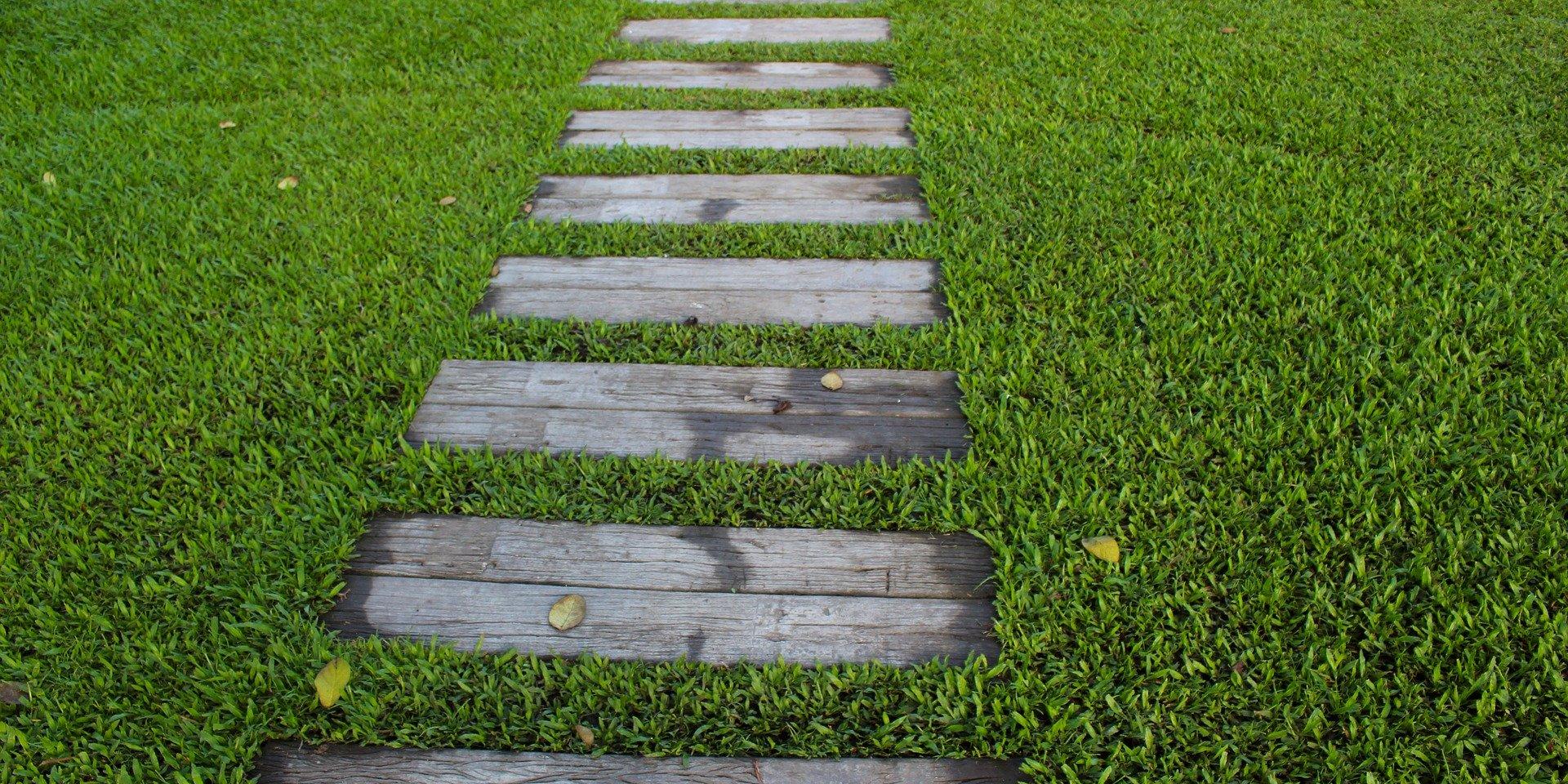 Weg im Gras