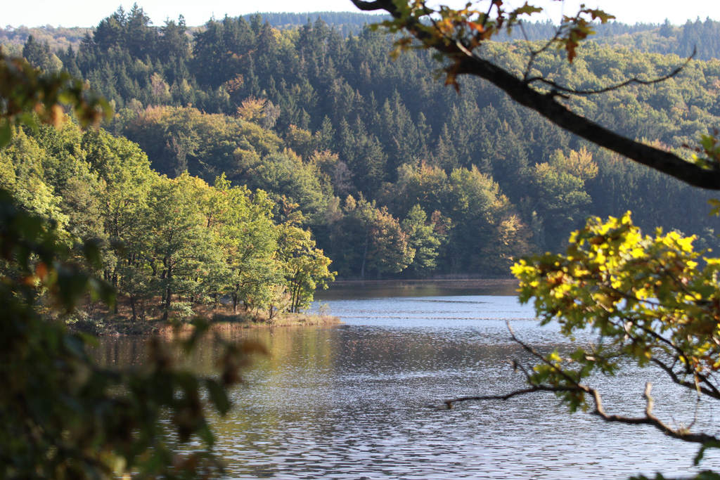 Rursee