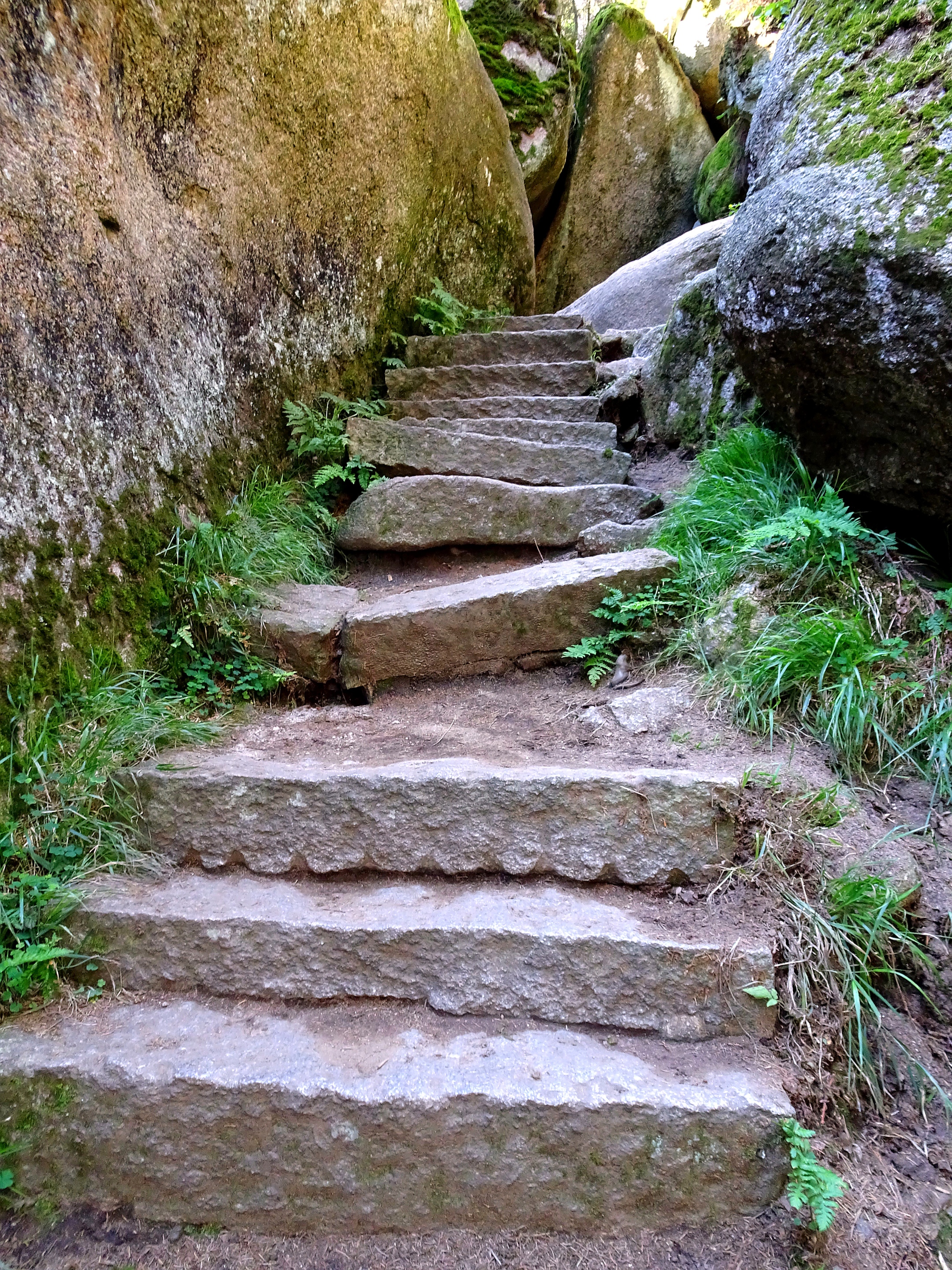 Schritt für Schritt