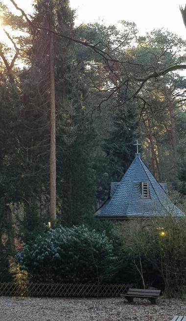 Frauenwallfahrt 2019 zum Pützchen1