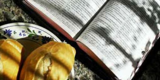 bibliolog