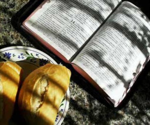 bibliolog