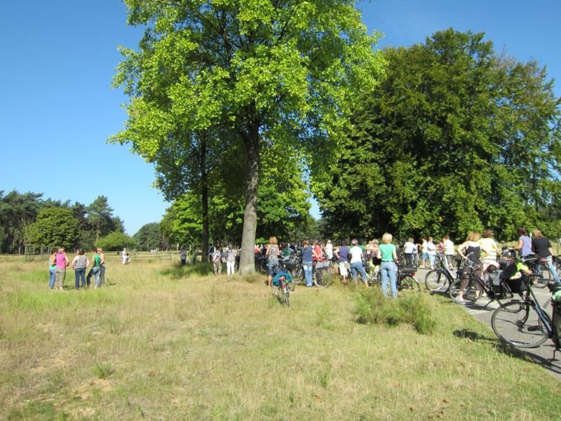Frauenpilgertag 2012